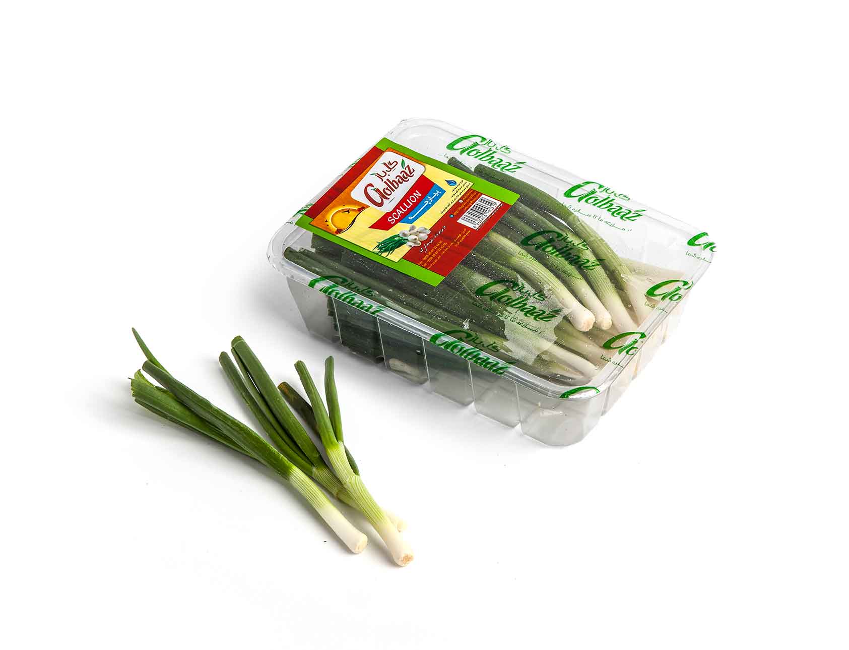 c6805c01-a631-412b-b7b7-fb595072ad2a